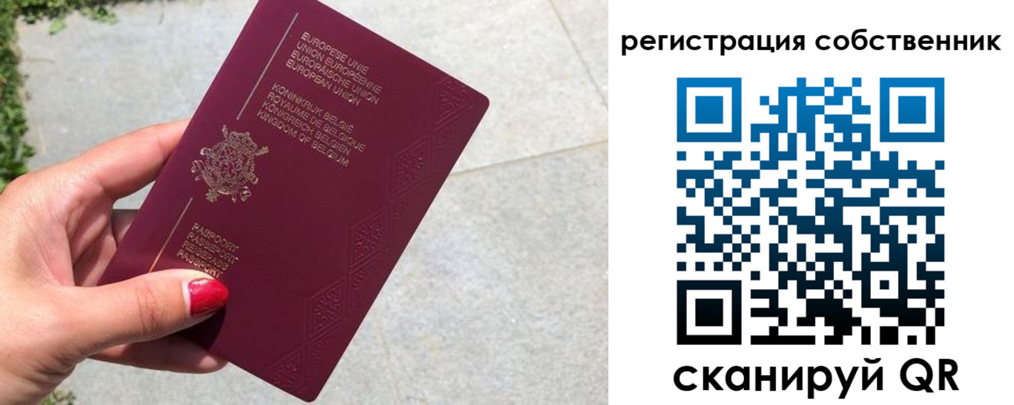 временная регистрация поиск в Боготоле